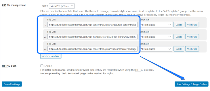 Inserting the CSS files and pointing at the Save Settings _ Purge Caches button