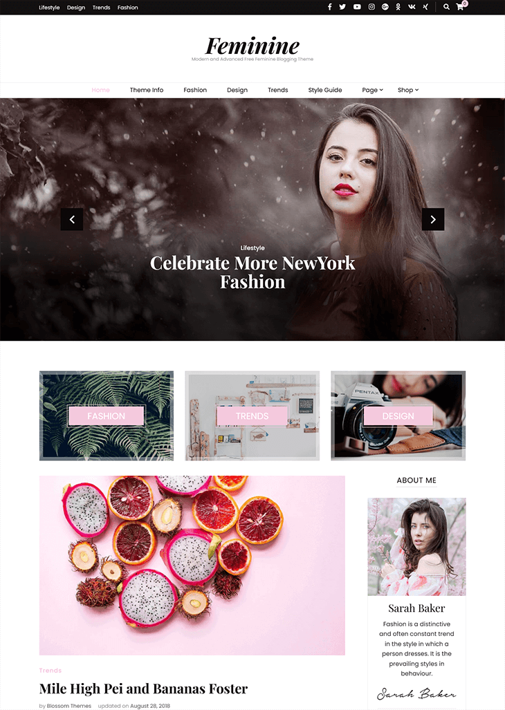 Blossom Feminine Free Blogging Theme